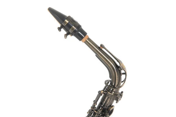 סקסופון אלט מצופה antique lacquered של המותג ROY BENSON AS-202A כולל תיק RB700611 מבית GEWA (Germany) - תמונה 4