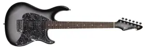 גיטרה חשמלית Peavey Raptor® Custom Silverburst