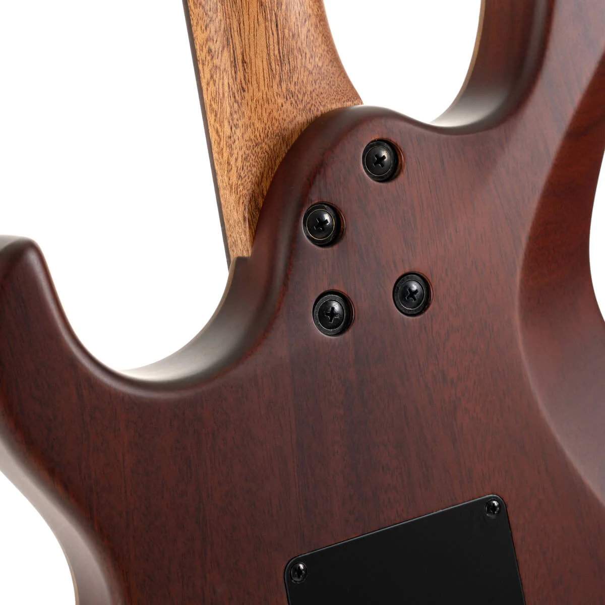 גיטרה חשמלית Cort G300 Raw Natural Satin - תמונה 10