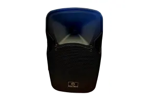 בידורית ניידת "12 עם גלגלים ProTech BM-712 USB/SD B.T