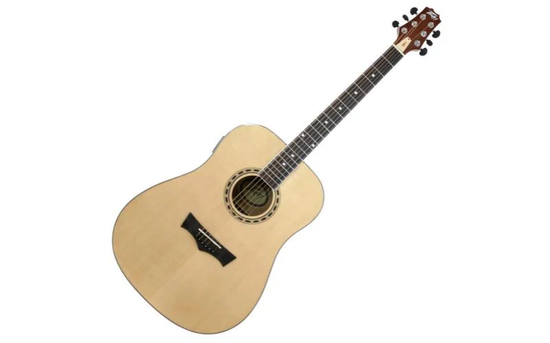 גיטרה אקוסטית DW-2 מבית PEAVEY - תמונה 3