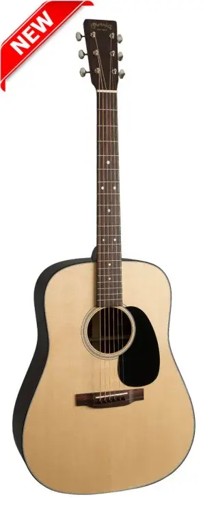 גיטרה אקוסטית +ארגז MARTIN D21