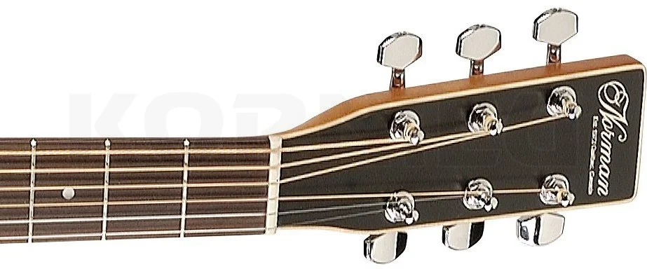 גיטרה אקוסטית מוגברת CW CEDER 4T NORMAN PROTEGE B18 Tobacco Burst - תמונה 4