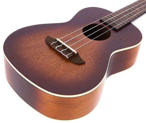 RUDAWN יוקליילי קונצרט מבית Ortega Guitars - תמונה 2
