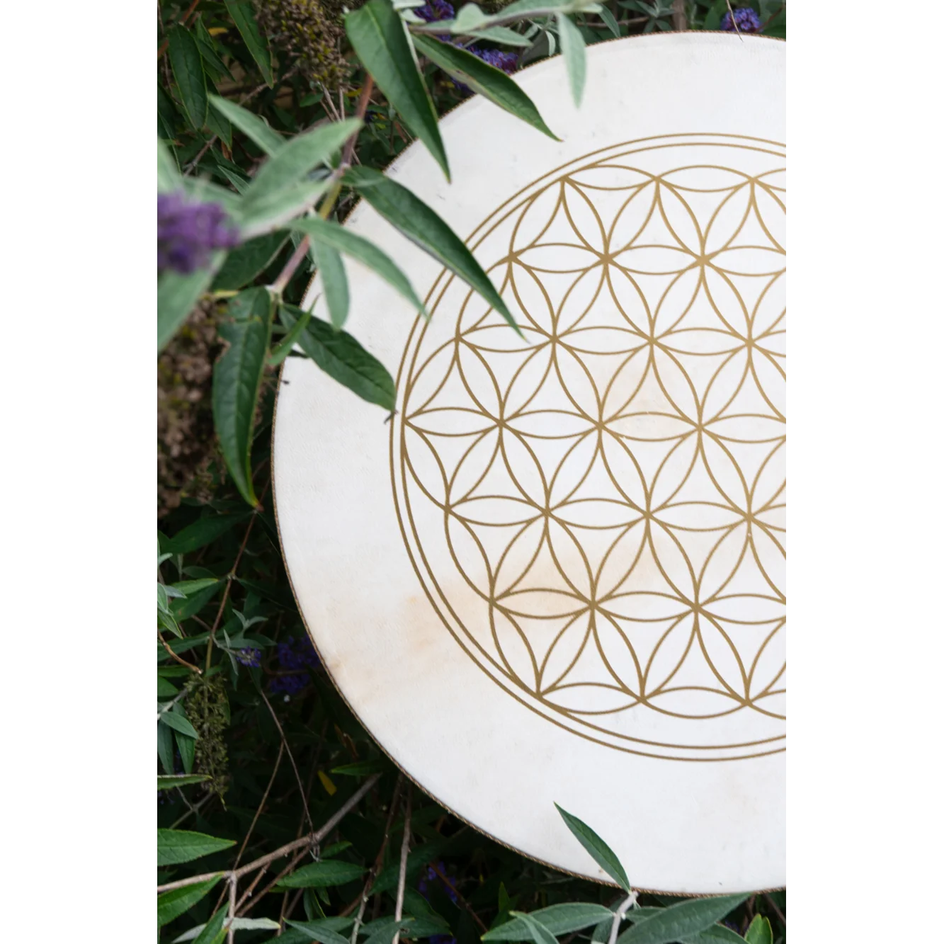 תוף אוקיינוס 18 אינץ' Meinl | Flower Of Life - תמונה 5