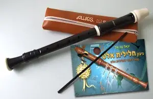 חלילית אלט מפלסטיק AULOS 309A עם תוספות
