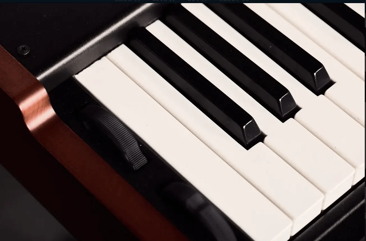 מקלדת במה מקצועית 61 קלידים Legend One Stage Keyboard מבית Viscount - תמונה 3