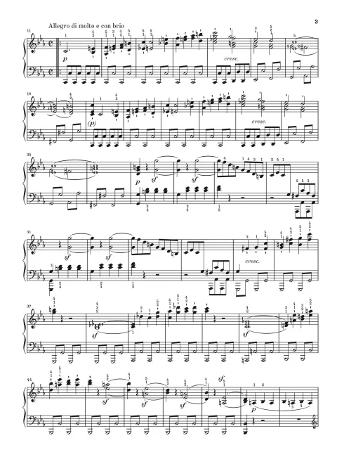 ספר תווים Beethoven Piano Sonata no. 8 c minor op. 13 (Grande Sonata Pathétique) - תמונה 3