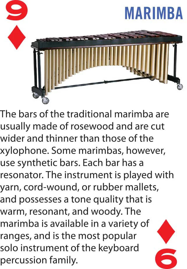 Alfred's Music Playing Cards: Percussion Instruments - תמונה 4