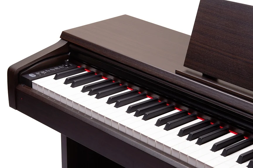 פסנתר חשמלי מקצועי Pearl River V-03 RS - תמונה 2