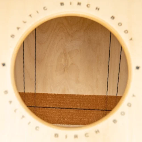 WC100B קחון מסדרת Baltic Birch עם Woodcraft קדמי Meinl - תמונה 4