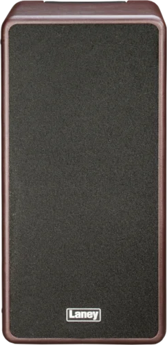 A-DUO מגבר לגיטרה אקוסטית Laney