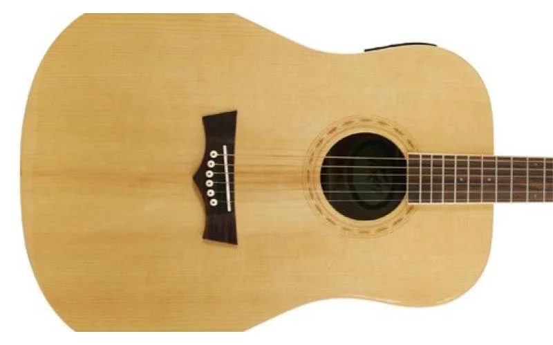 גיטרה אקוסטית DW-2 מבית PEAVEY - תמונה 6