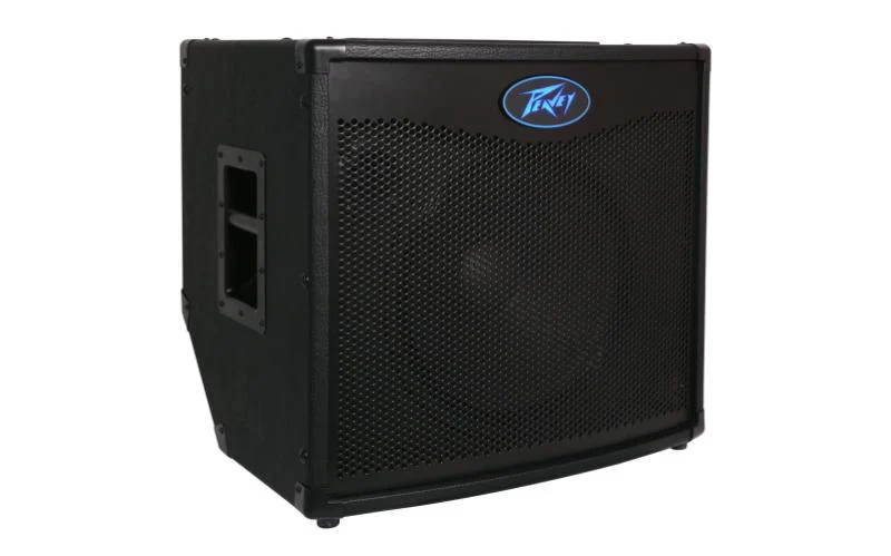 מגבר לבס TOUR TNT 115 מבית PEAVEY - תמונה 3
