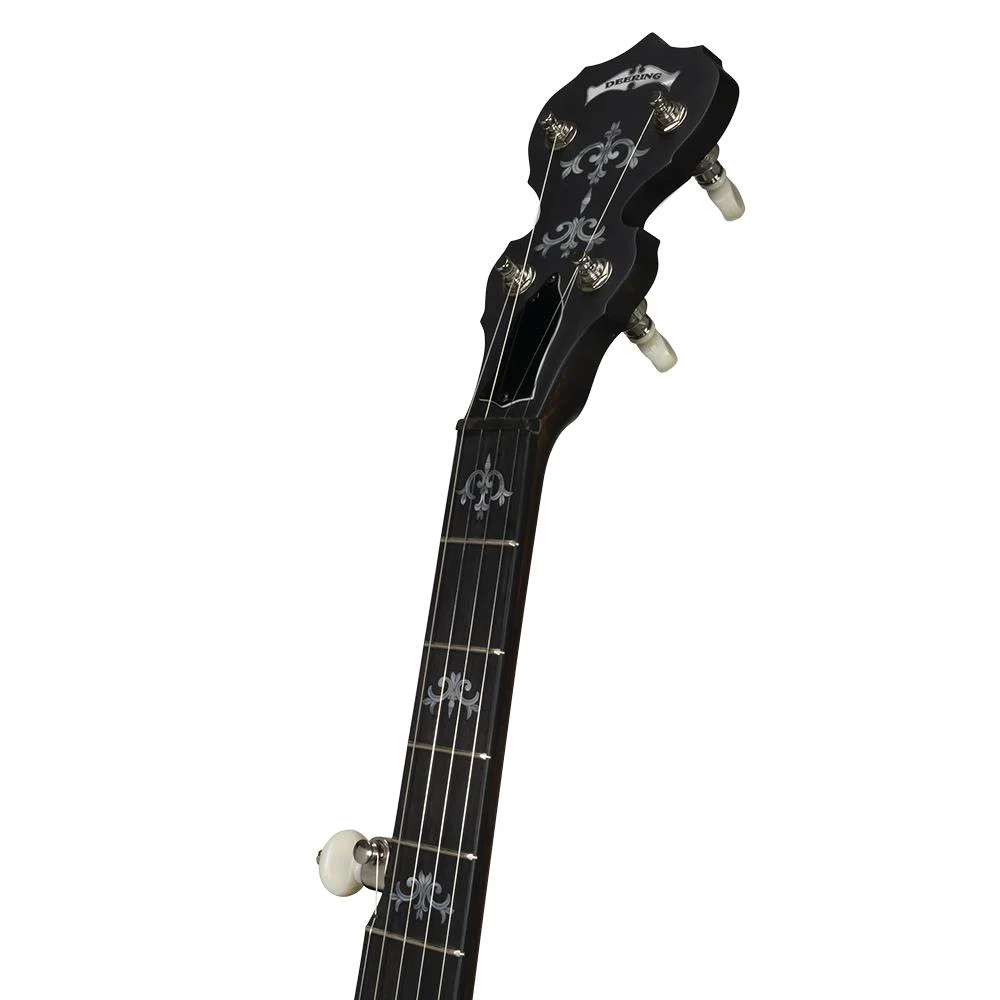 בנג'ו 5 מיתרים Deering Sierra Openback - תמונה 7