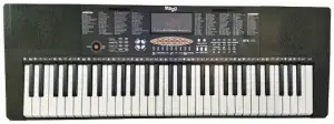 אורגנית 5 אוקטבות למתחילים Stagg | STK-100