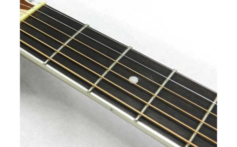 גיטרה אקוסטית DW-2 מבית PEAVEY - תמונה 5