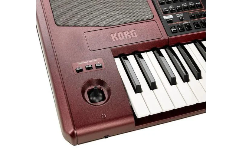 תחנת עבודה מקצועית PA1000 מבית Korg - תמונה 4