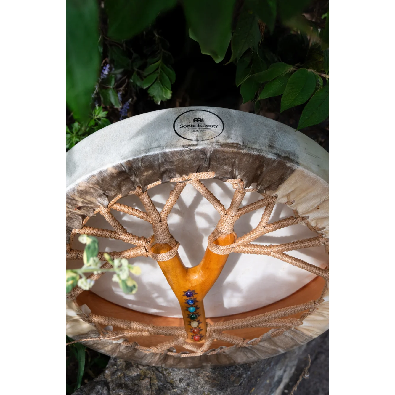 תוף Chakra רוח 15.35 אינץ' Meinl | SD15LBCHA - תמונה 6