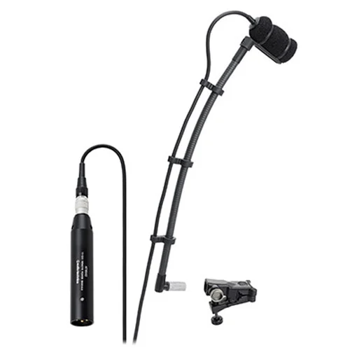 מיקרופון מקצועי ייעודי לכלי נגינה Audio Technica ATM350UL