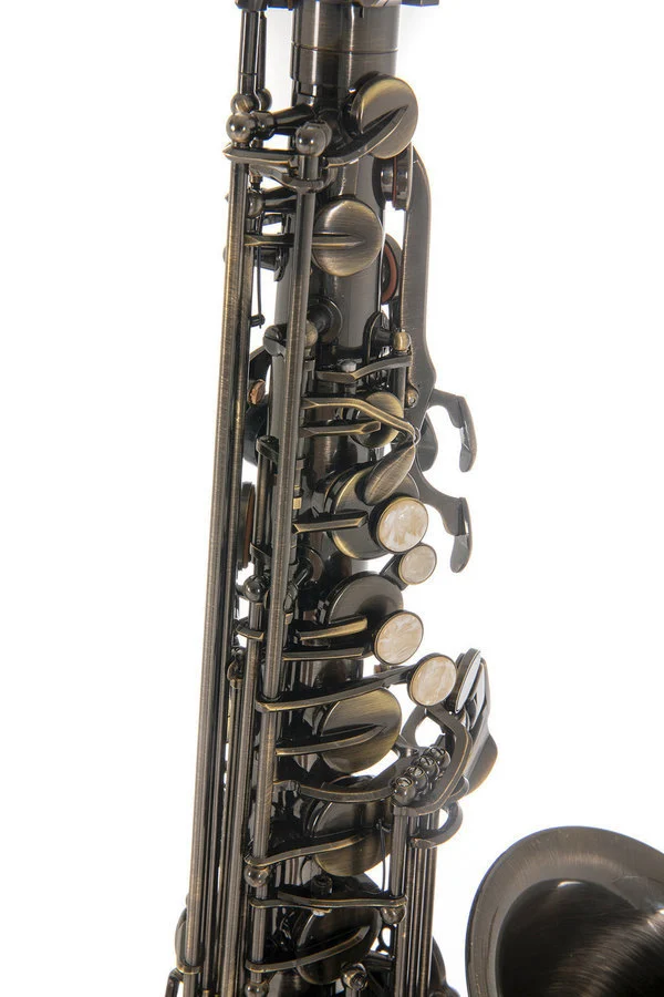 סקסופון אלט מצופה antique lacquered של המותג ROY BENSON AS-202A כולל תיק RB700611 מבית GEWA (Germany) - תמונה 6
