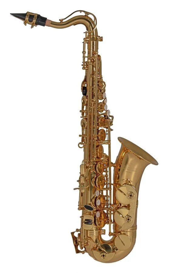 סקסופון אלט מצופה לכה לילדים ROY BENSON AS-201 כולל תיק RB700590 מבית GEWA (Germany) - תמונה 3