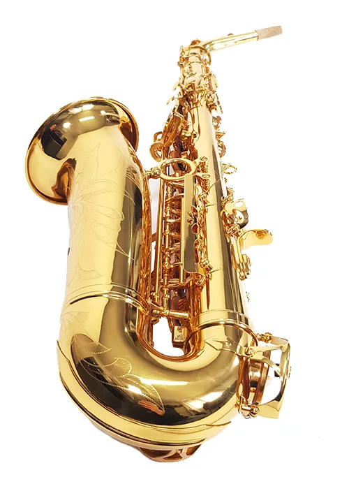 סקסופון אלט Pro LAS-901 Alto מבית Legrand