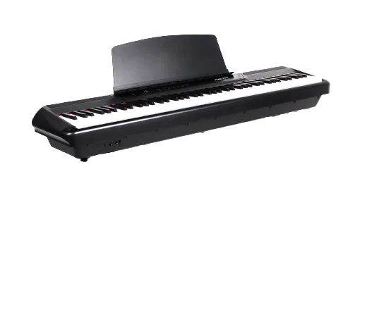 פסנתר חשמלי נייד בצבע שחור P-60 מבית Pearl River