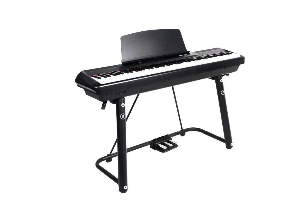 פסנתר חשמלי נייד בצבע שחור P-60 מבית Pearl River